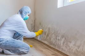 Best Post-Construction Mold Inspection in Rohnert Park, CA