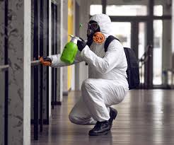 Best Mold Remediation for Healthcare Facilities in Rohnert Park, CA